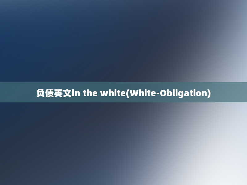 负债英文in the white(White-Obligation)