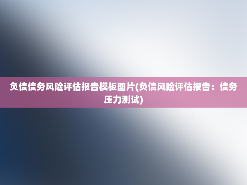 负债债务风险评估报告模板图片(负债风险评估报告：债务压力测试)