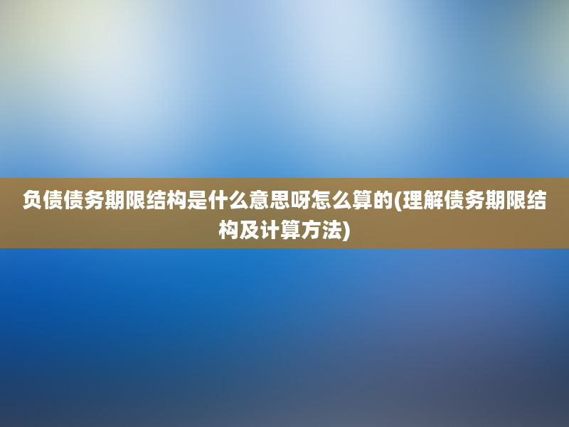 负债债务期限结构是什么意思呀怎么算的(理解债务期限结构及计算方法)