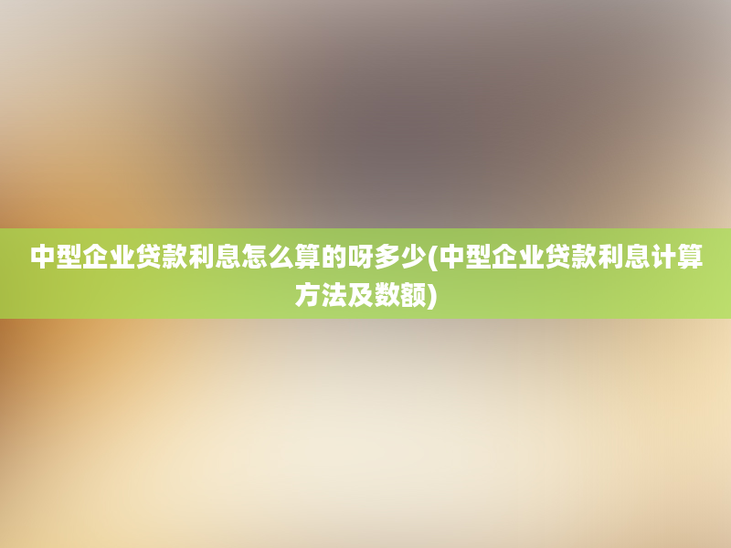 中型企业贷款利息怎么算的呀多少(中型企业贷款利息计算方法及数额)