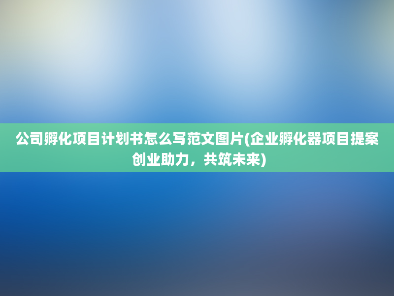 公司孵化项目计划书怎么写范文图片(企业孵化器项目提案 创业助力，共筑未来)