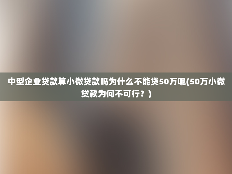 中型企业贷款算小微贷款吗为什么不能贷50万呢(50万小微贷款为何不可行？)