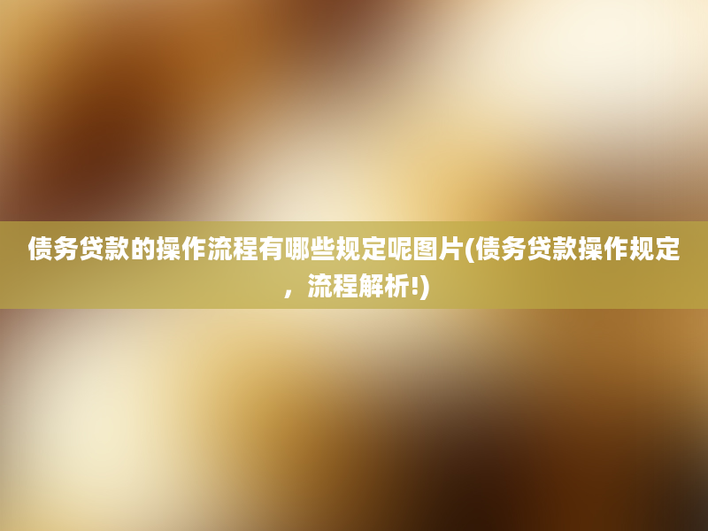 债务贷款的操作流程有哪些规定呢图片(债务贷款操作规定，流程解析!)