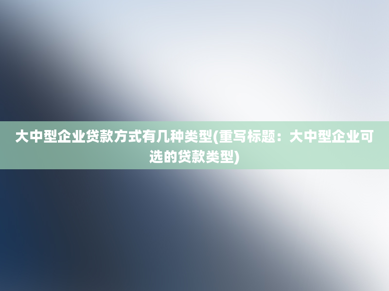 大中型企业贷款方式有几种类型(重写标题：大中型企业可选的贷款类型)