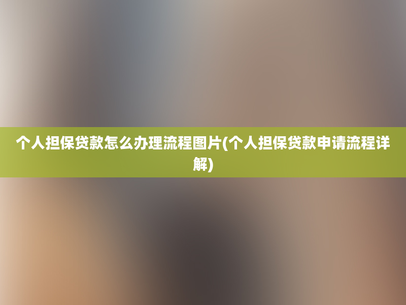 个人担保贷款怎么办理流程图片(个人担保贷款申请流程详解)