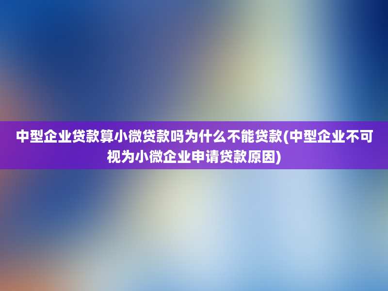 中型企业贷款算小微贷款吗为什么不能贷款(中型企业不可视为小微企业申请贷款原因)