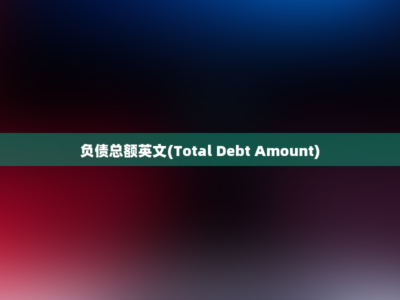 负债总额英文(Total Debt Amount)