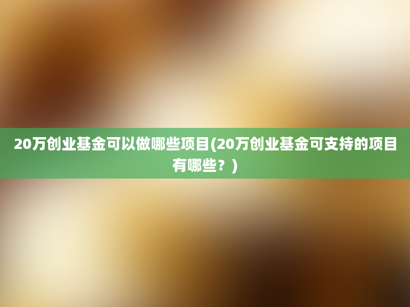 20万创业基金可以做哪些项目(20万创业基金可支持的项目有哪些？)