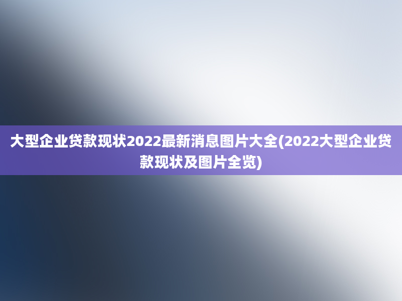 大型企业贷款现状2022最新消息图片大全(2022大型企业贷款现状及图片全览)