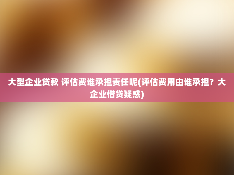 大型企业贷款 评估费谁承担责任呢(评估费用由谁承担？大企业借贷疑惑)