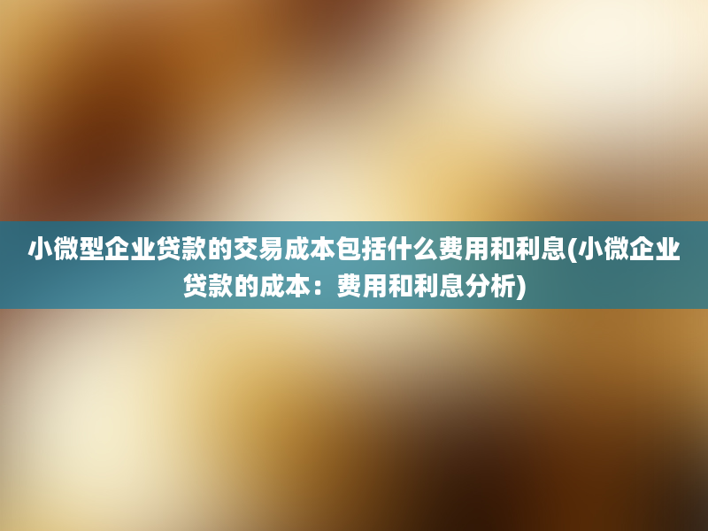 小微型企业贷款的交易成本包括什么费用和利息(小微企业贷款的成本：费用和利息分析)