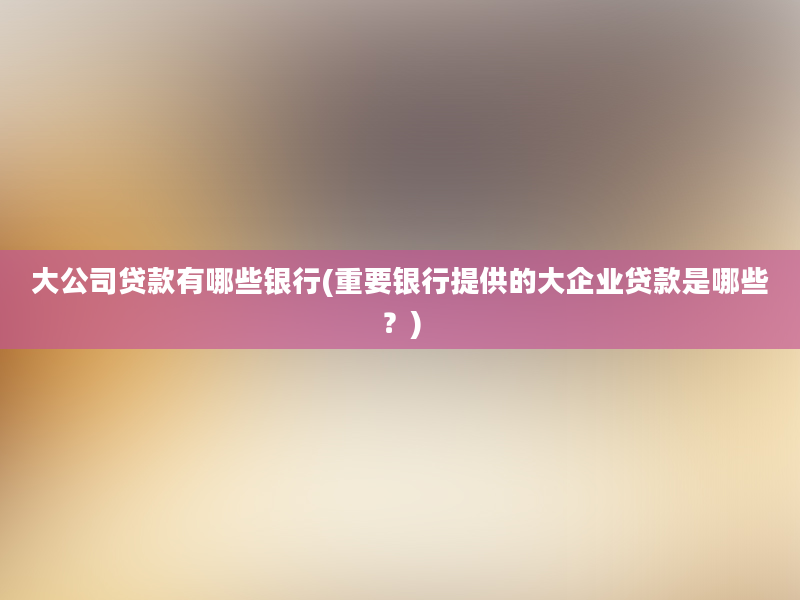 大公司贷款有哪些银行(重要银行提供的大企业贷款是哪些？)