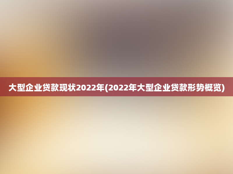 大型企业贷款现状2022年(2022年大型企业贷款形势概览)