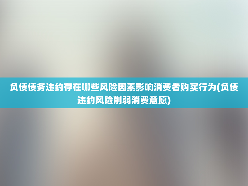 负债债务违约存在哪些风险因素影响消费者购买行为(负债违约风险削弱消费意愿)