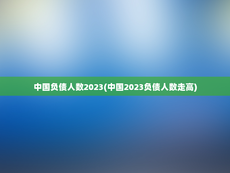 中国负债人数2023(中国2023负债人数走高)