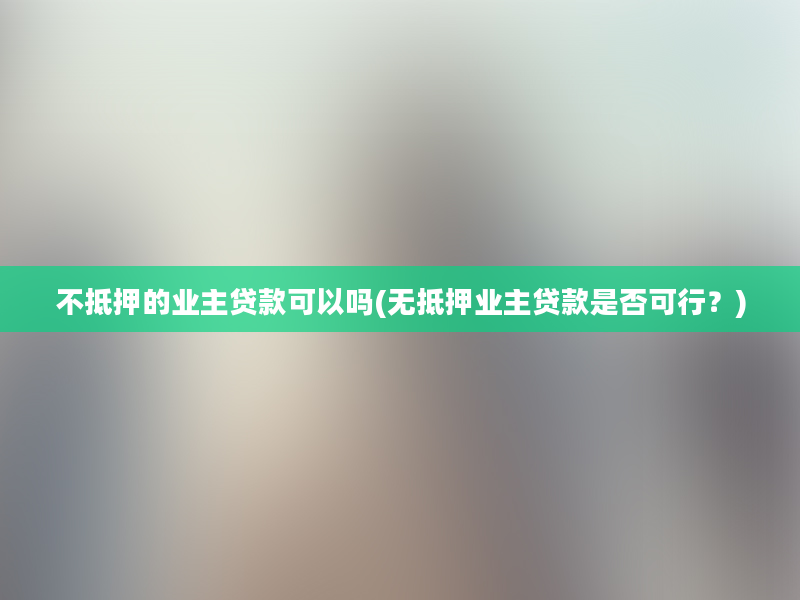 不抵押的业主贷款可以吗(无抵押业主贷款是否可行？)