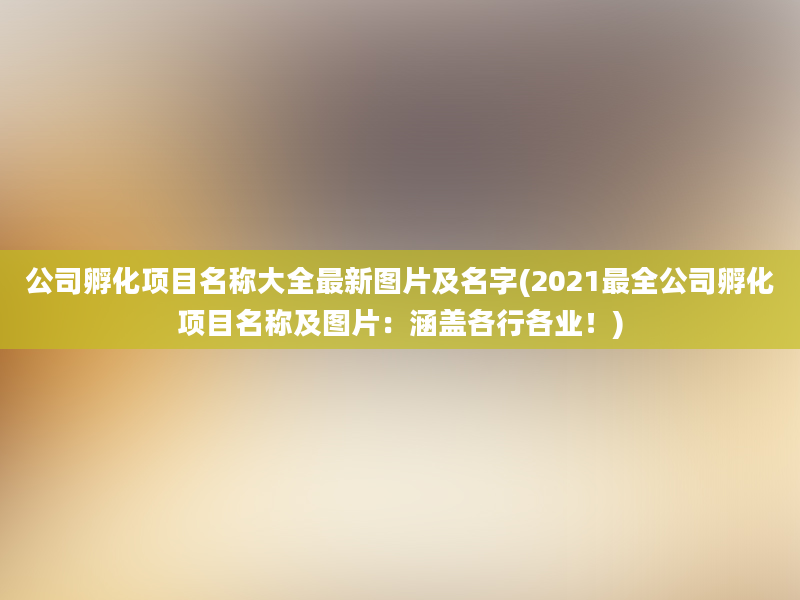 公司孵化项目名称大全最新图片及名字(2021最全公司孵化项目名称及图片：涵盖各行各业！)