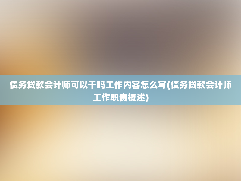 债务贷款会计师可以干吗工作内容怎么写(债务贷款会计师工作职责概述)