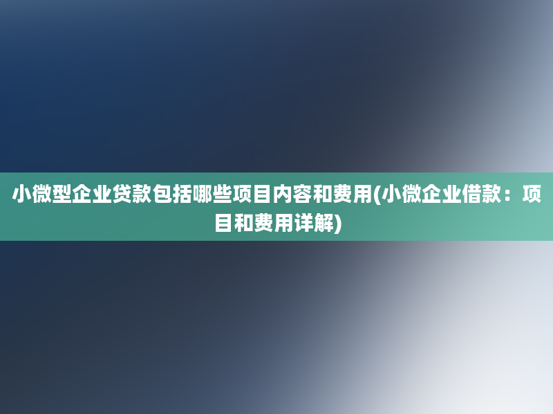 小微型企业贷款包括哪些项目内容和费用(小微企业借款：项目和费用详解)