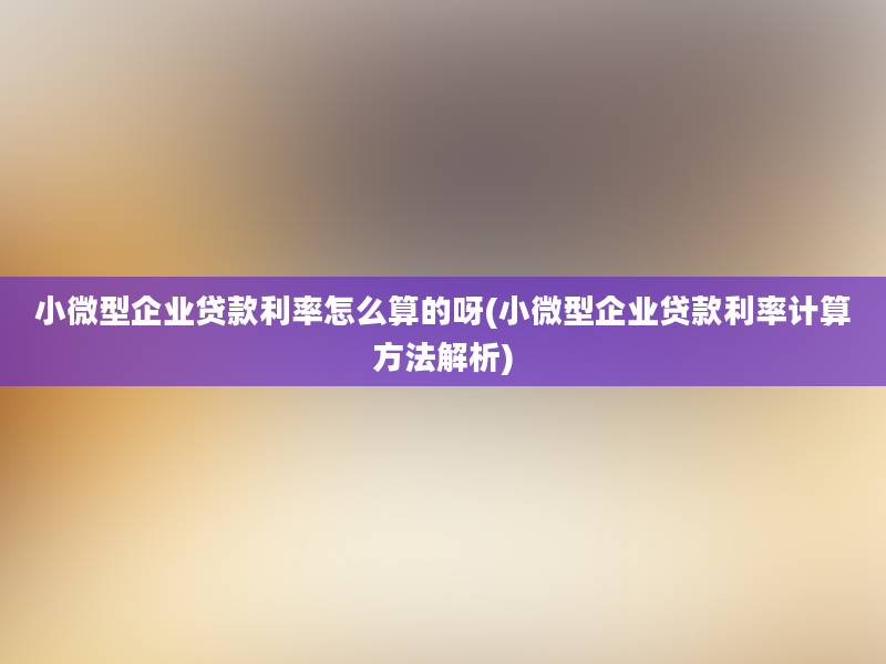 小微型企业贷款利率怎么算的呀(小微型企业贷款利率计算方法解析)