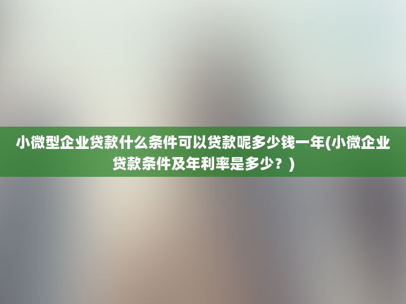 小微型企业贷款什么条件可以贷款呢多少钱一年(小微企业贷款条件及年利率是多少？)