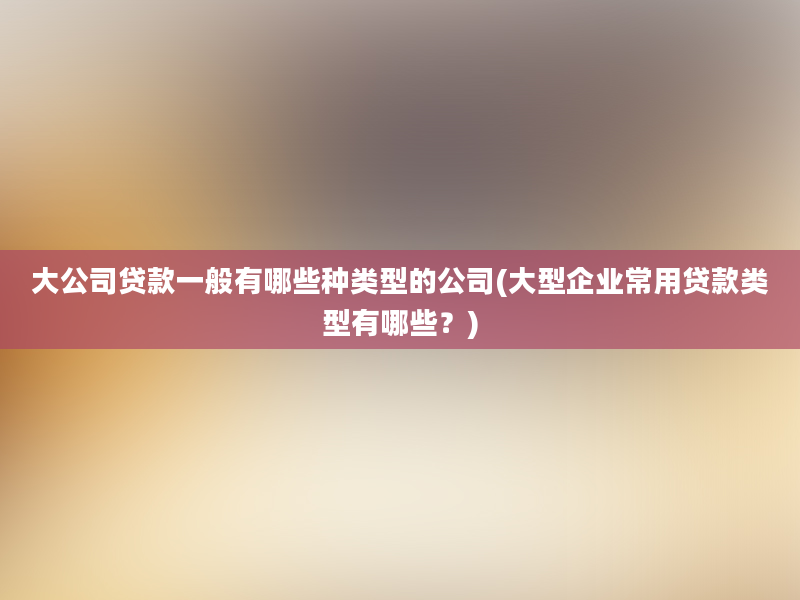 大公司贷款一般有哪些种类型的公司(大型企业常用贷款类型有哪些？)