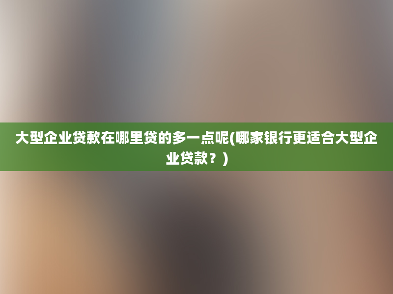 大型企业贷款在哪里贷的多一点呢(哪家银行更适合大型企业贷款？)