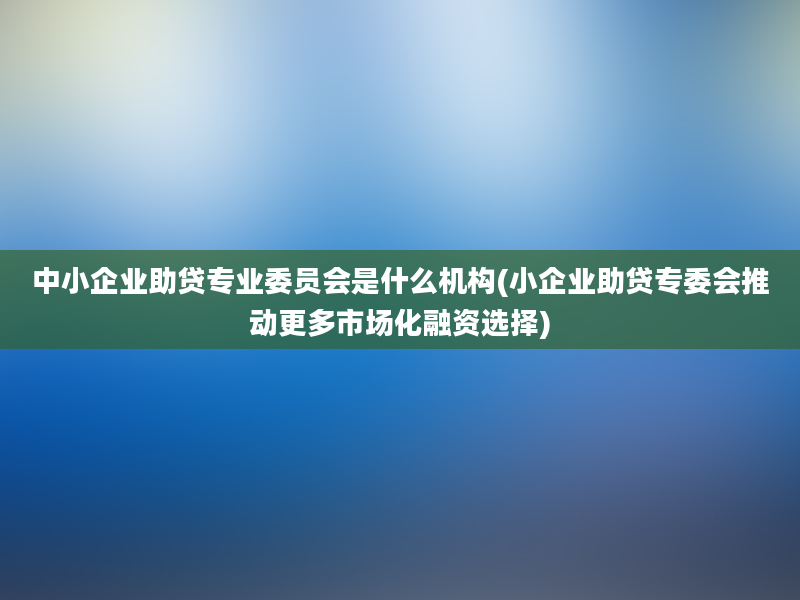 中小企业助贷专业委员会是什么机构(小企业助贷专委会推动更多市场化融资选择)