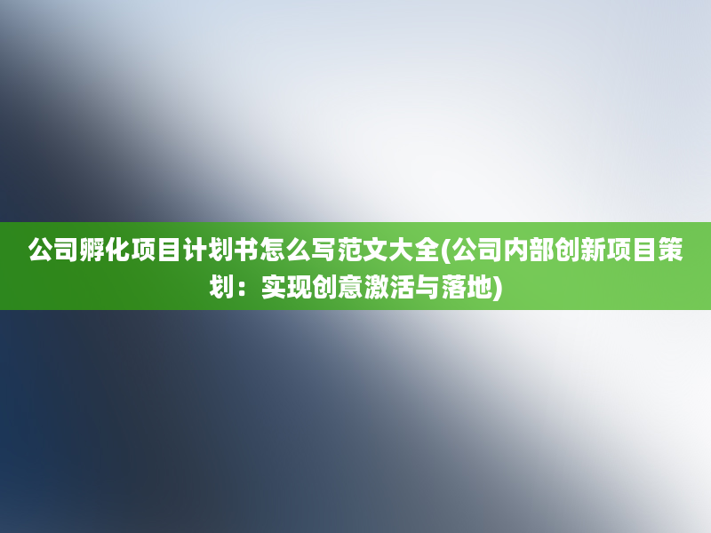 公司孵化项目计划书怎么写范文大全(公司内部创新项目策划：实现创意激活与落地)