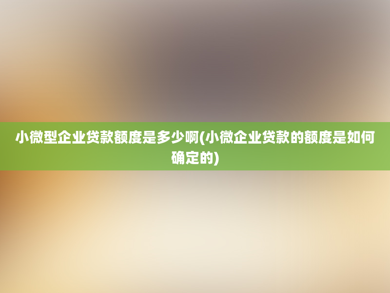 小微型企业贷款额度是多少啊(小微企业贷款的额度是如何确定的)