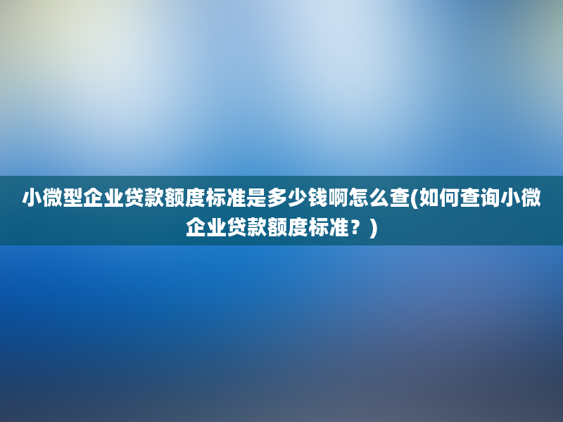 小微型企业贷款额度标准是多少钱啊怎么查(如何查询小微企业贷款额度标准？)