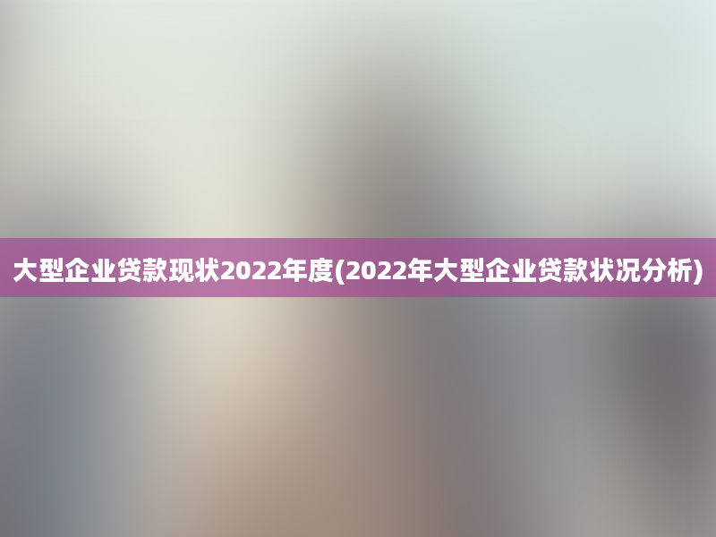 大型企业贷款现状2022年度(2022年大型企业贷款状况分析)