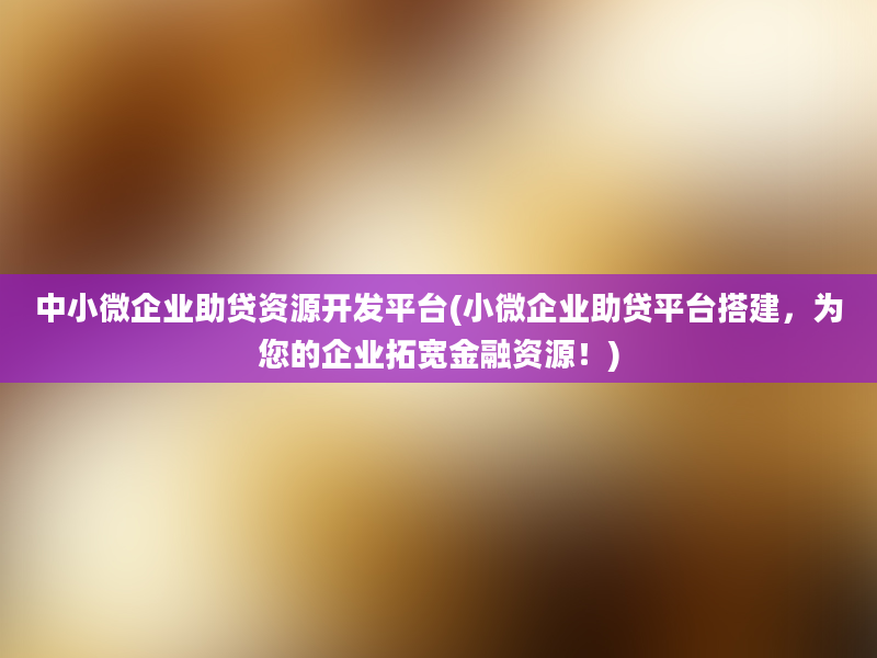 中小微企业助贷资源开发平台(小微企业助贷平台搭建，为您的企业拓宽金融资源！)