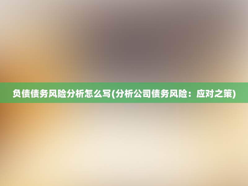 负债债务风险分析怎么写(分析公司债务风险：应对之策)