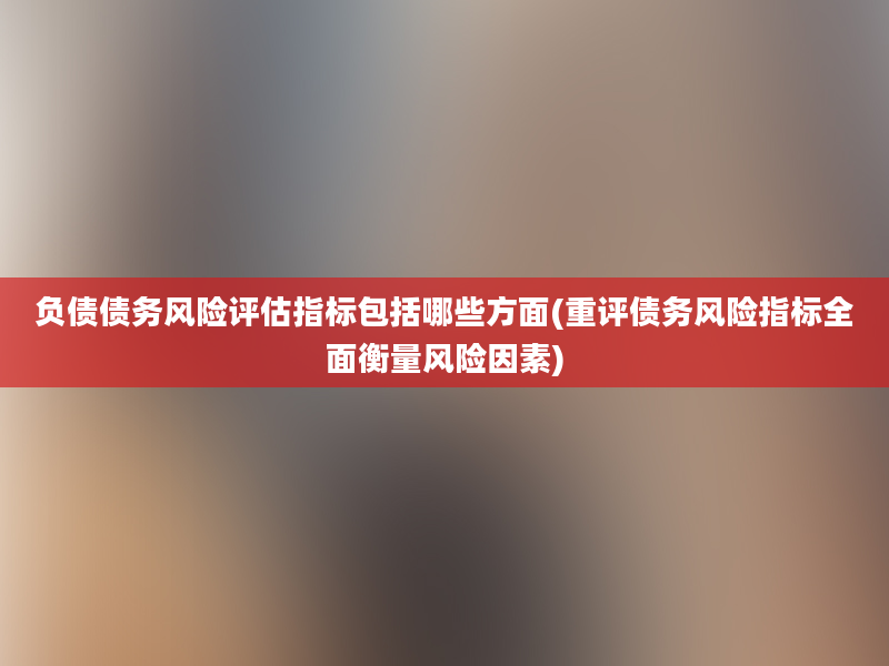 负债债务风险评估指标包括哪些方面(重评债务风险指标全面衡量风险因素)