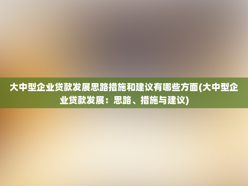 大中型企业贷款发展思路措施和建议有哪些方面(大中型企业贷款发展：思路、措施与建议)