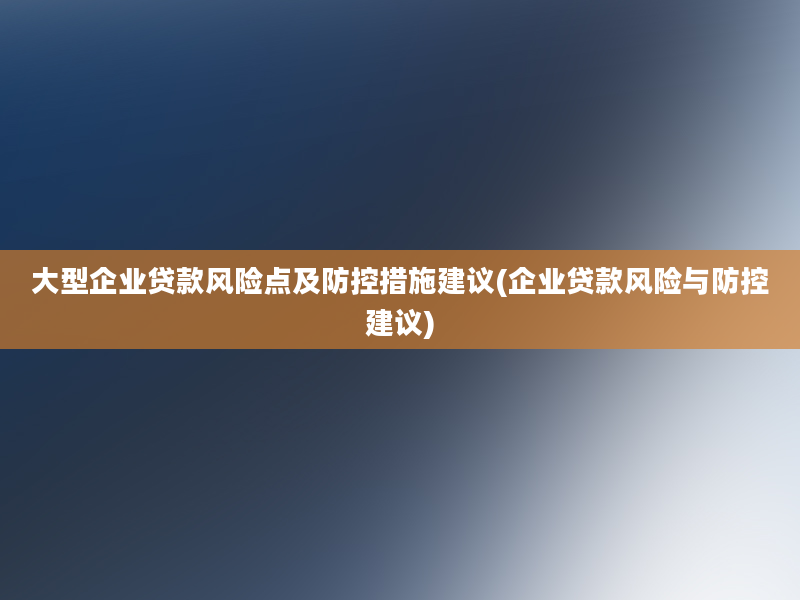 大型企业贷款风险点及防控措施建议(企业贷款风险与防控建议)