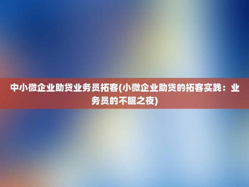 中小微企业助贷业务员拓客(小微企业助贷的拓客实践：业务员的不眠之夜)