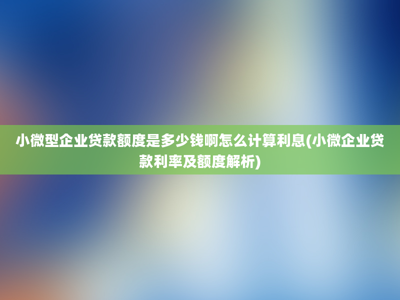 小微型企业贷款额度是多少钱啊怎么计算利息(小微企业贷款利率及额度解析)