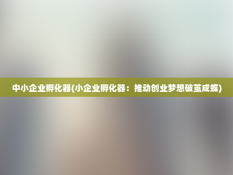 中小企业孵化器(小企业孵化器：推动创业梦想破茧成蝶)