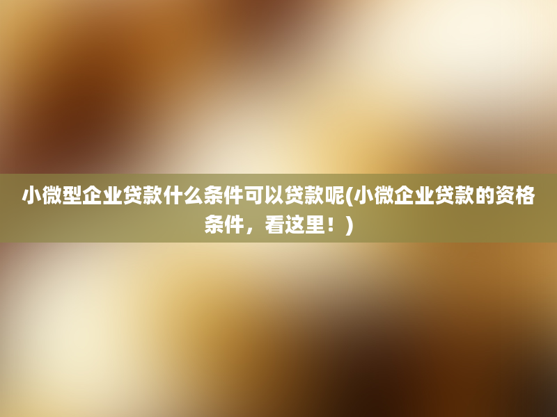 小微型企业贷款什么条件可以贷款呢(小微企业贷款的资格条件，看这里！)