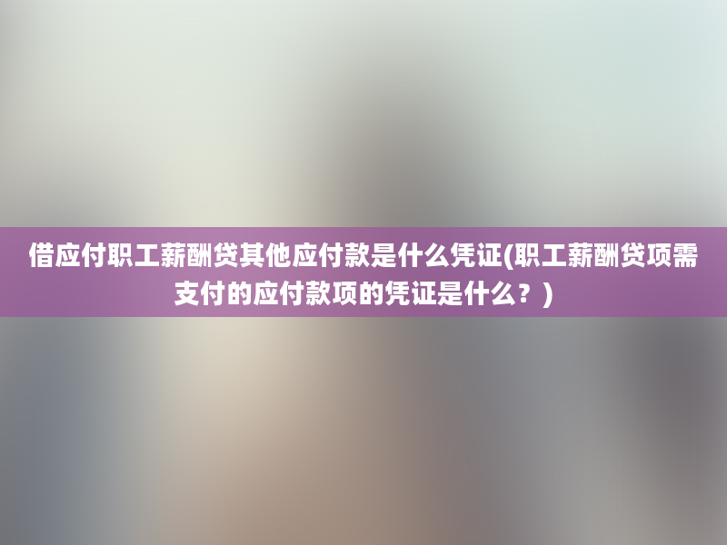 借应付职工薪酬贷其他应付款是什么凭证(职工薪酬贷项需支付的应付款项的凭证是什么？)