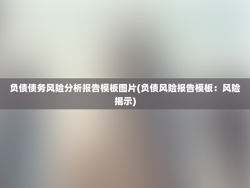 负债债务风险分析报告模板图片(负债风险报告模板：风险揭示)