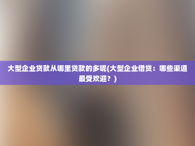 大型企业贷款从哪里贷款的多呢(大型企业借贷：哪些渠道最受欢迎？)