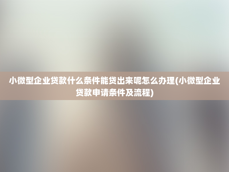 小微型企业贷款什么条件能贷出来呢怎么办理(小微型企业贷款申请条件及流程)