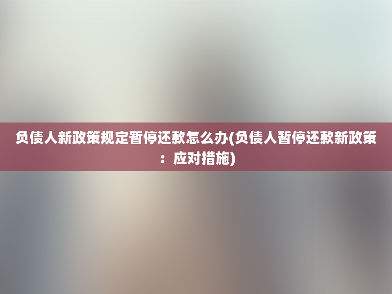 负债人新政策规定暂停还款怎么办(负债人暂停还款新政策：应对措施)