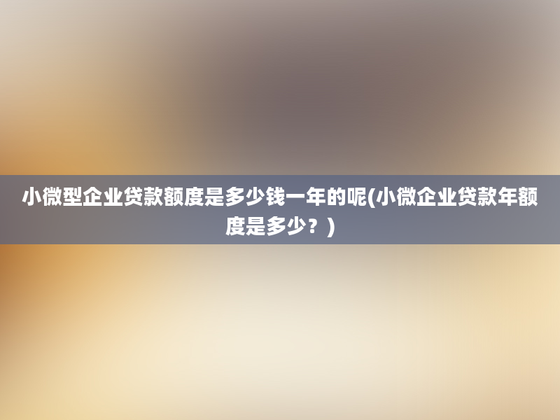 小微型企业贷款额度是多少钱一年的呢(小微企业贷款年额度是多少？)