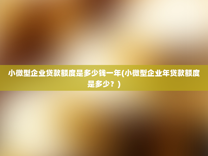 小微型企业贷款额度是多少钱一年(小微型企业年贷款额度是多少？)