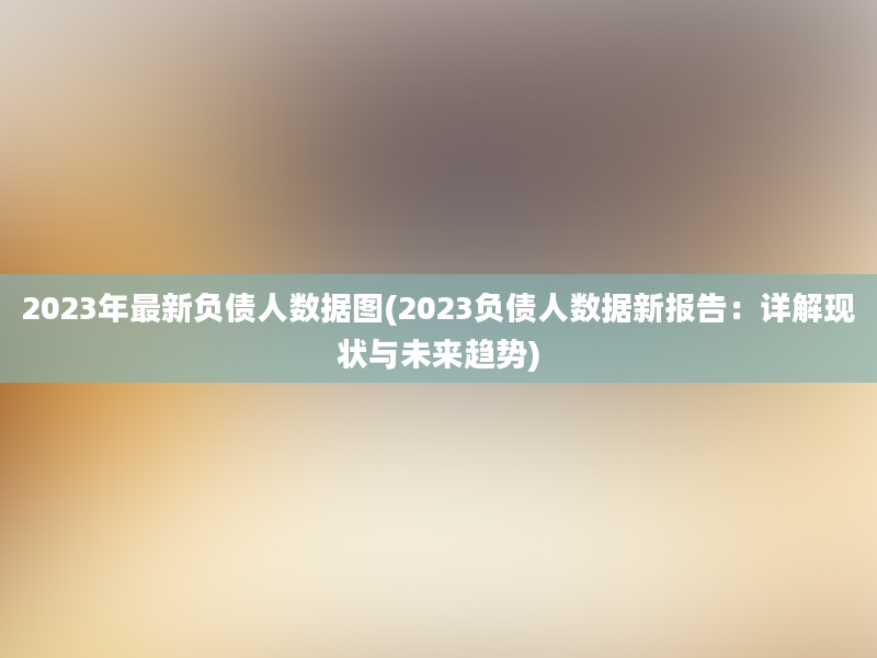 2023年最新负债人数据图(2023负债人数据新报告：详解现状与未来趋势)