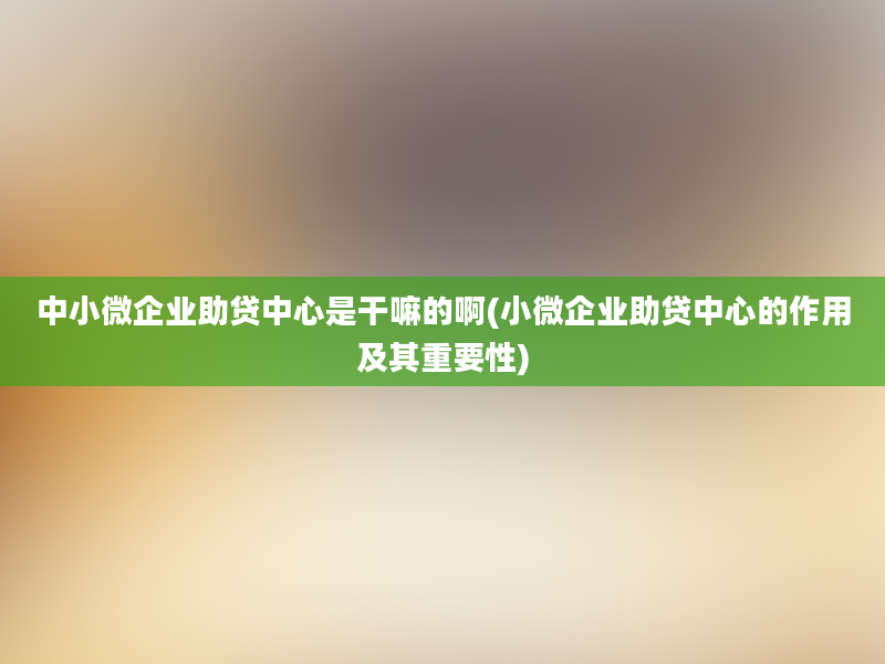 中小微企业助贷中心是干嘛的啊(小微企业助贷中心的作用及其重要性)